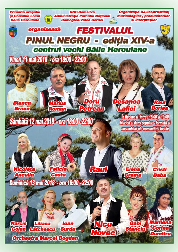 Festival Pinul Negru